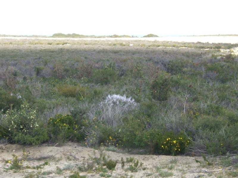 Lot 192 Jurien Bay Vista, Jurien Bay WA 6516