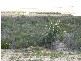 Lot 192 Jurien Bay Vista, Jurien Bay WA 6516