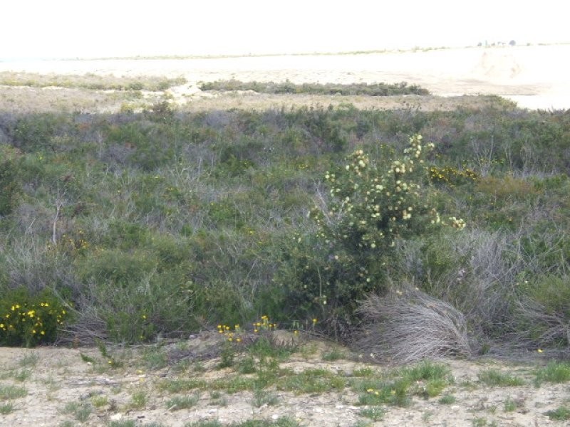 Lot 192 Jurien Bay Vista, Jurien Bay WA 6516