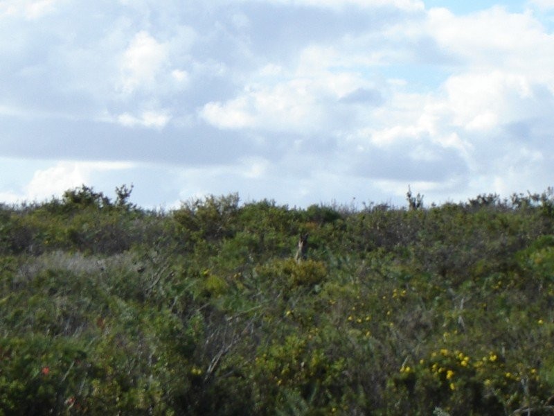 Lot 177 Jurien Bay Vista, Jurien Bay WA 6516