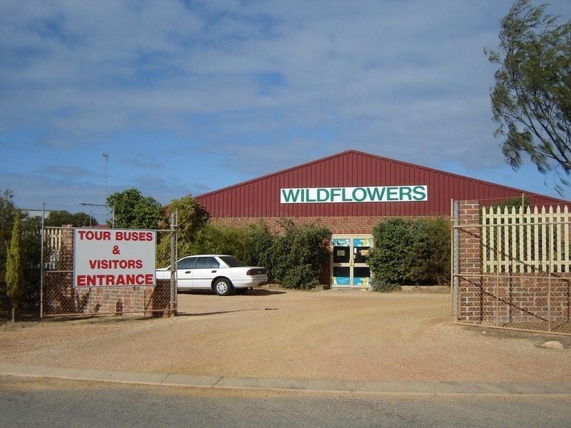 Lot 801, 1 Bradley Loop, Cervantes WA 6511