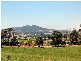 Tarrawarra VIC 3775