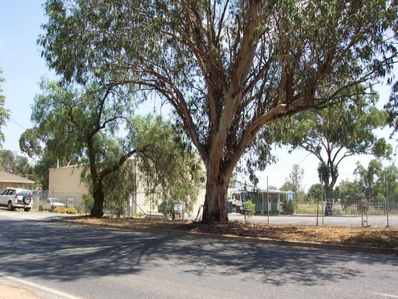 31 Grenfell Road, Cowra NSW 2794