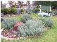 49 Victor Street, Cowra NSW 2794