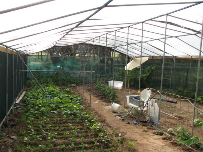 1015 Pine Mount Road, Cowra NSW 2794