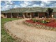 153 Square Road, Canowindra NSW 2804