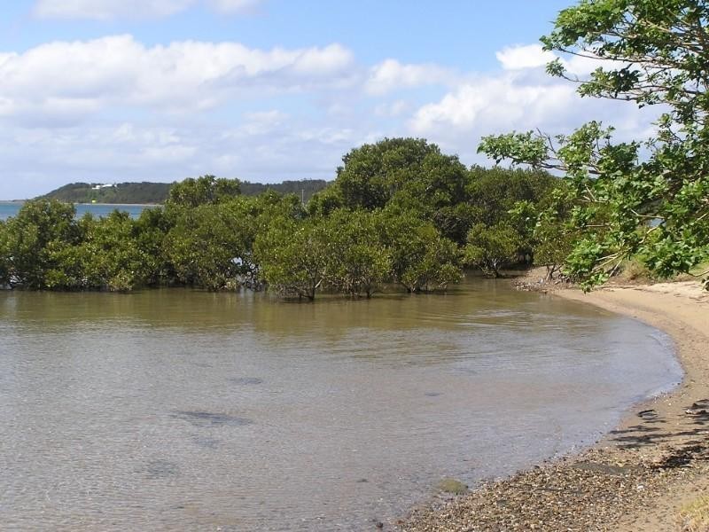 91 Orama Crescent, Orient Point NSW 2540