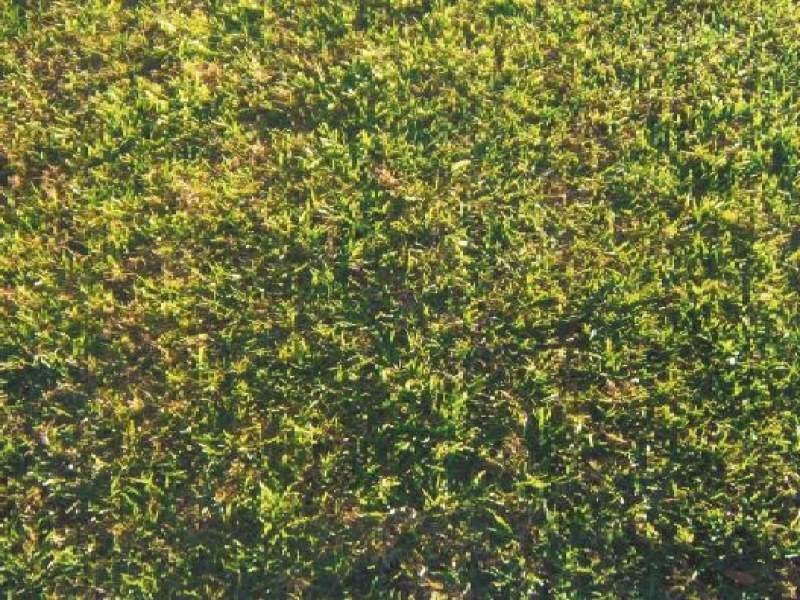 Lot 64 Highfield Way, Melton VIC 3337