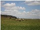 00 “ROYLAND”, Surat QLD 4417