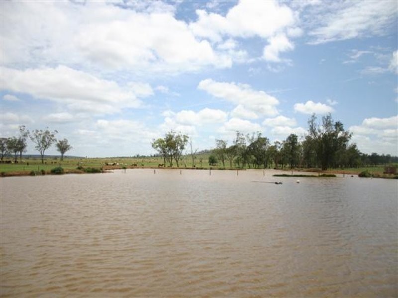 00 “ROYLAND”, Surat QLD 4417