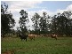 00 “ROYLAND”, Surat QLD 4417