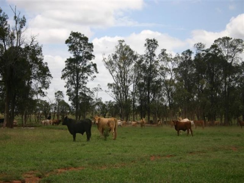 00 “ROYLAND”, Surat QLD 4417