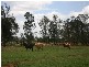 00 “ROYLAND”, Surat QLD 4417