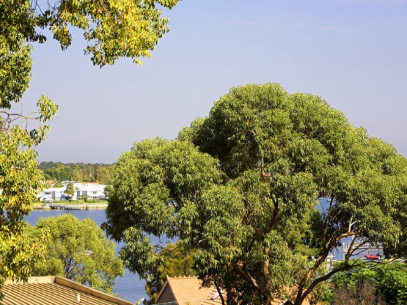 12/1-3 Gow St, Abbotsford NSW 2046