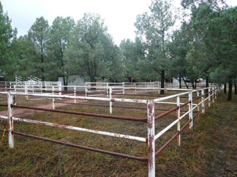 3L North Burrabadine Road, Dubbo NSW 2830