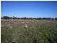 7R Janina Road, Dubbo NSW 2830