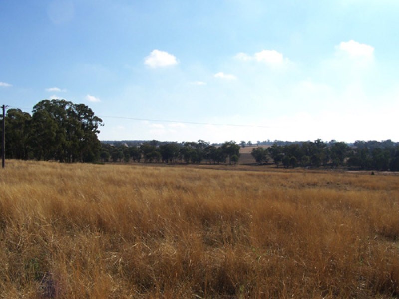 Lot 147 Heatherbrae Road, Geurie NSW 2831