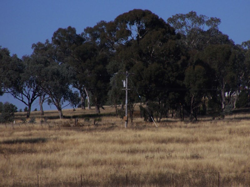 Lot 147 Heatherbrae Road, Geurie NSW 2831