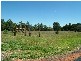 Lot 44 Homestead Drive, Dubbo NSW 2830