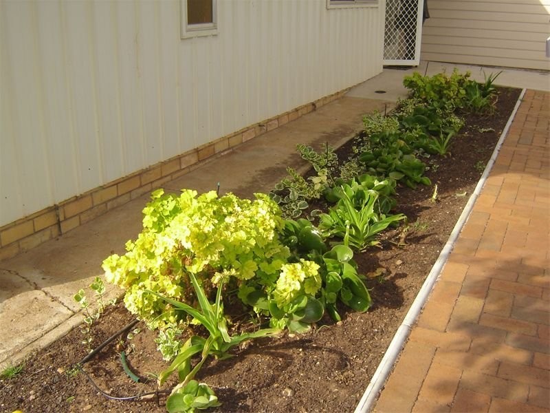 251B Fitzroy Street, Dubbo NSW 2830