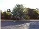 377 Fitzroy Street, Dubbo NSW 2830