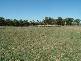 246 Winstons Lane, Aarons Pass NSW 2850