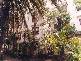 42 Bayswater Road, Rushcutters Bay NSW 2011