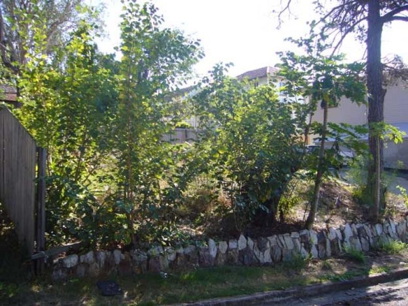 18 Hill Park Lane, Mount Gravatt East QLD 4122