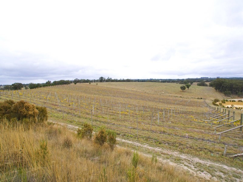 15 Union Lane, Wandong VIC 3758