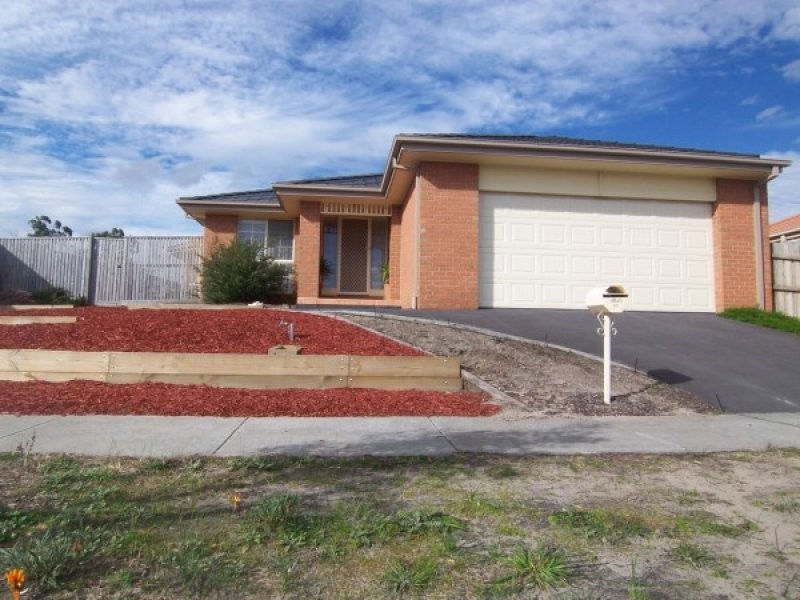 53 Protea Street, Carrum Downs VIC 3201