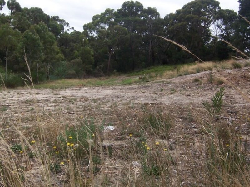 Lot 2 Pindara Boulevard, Langwarrin VIC 3910