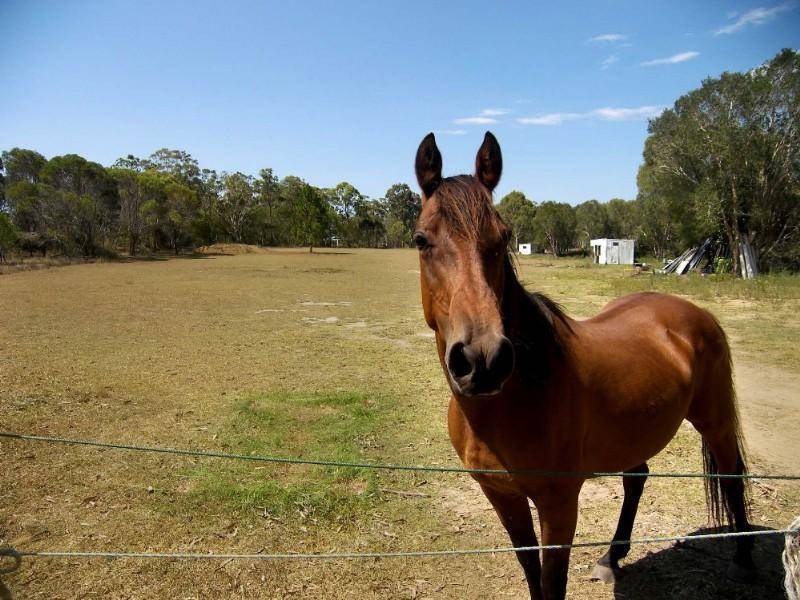 146 Fischer Rd, Carbrook QLD 4130