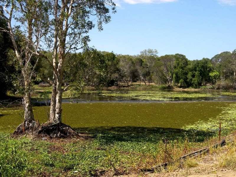 146 Fischer Rd, Carbrook QLD 4130