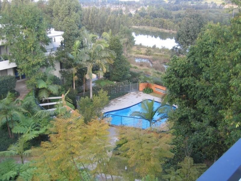 17 Blaxland Ave, Newington NSW 2127