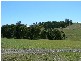 Wingham NSW 2429