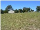 Wingham NSW 2429