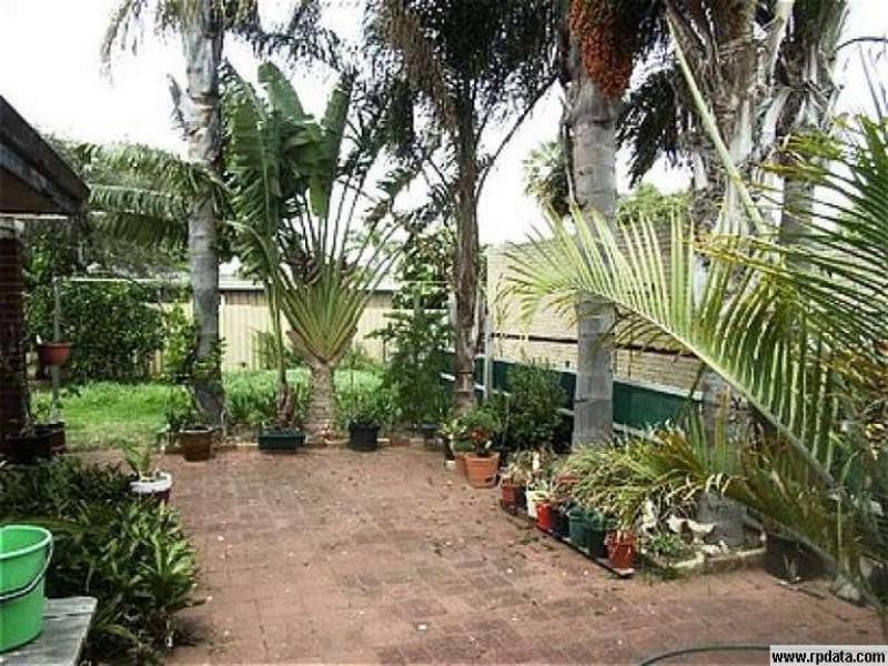 11 Norland Way, Spearwood WA 6163