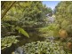 Duffys Forest NSW 2084