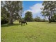 222 Powder Works Road, Ingleside NSW 2101