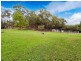 202 Forest Way, Belrose NSW 2085