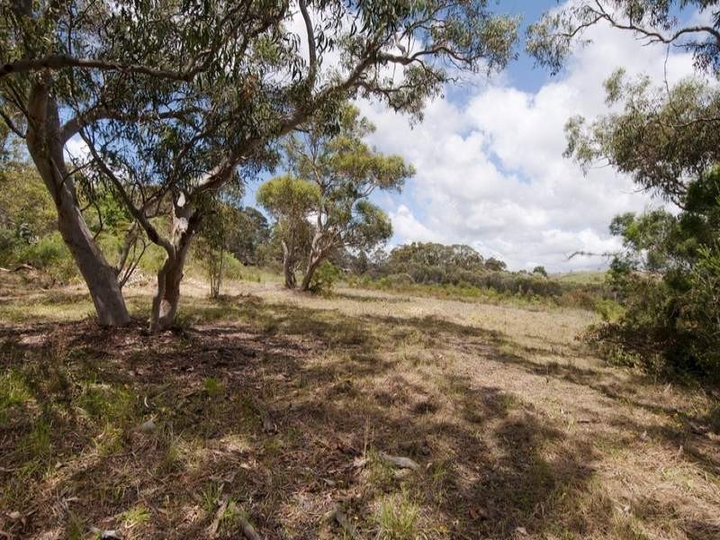 Lot 2506 Linden Avenue, Belrose NSW 2085