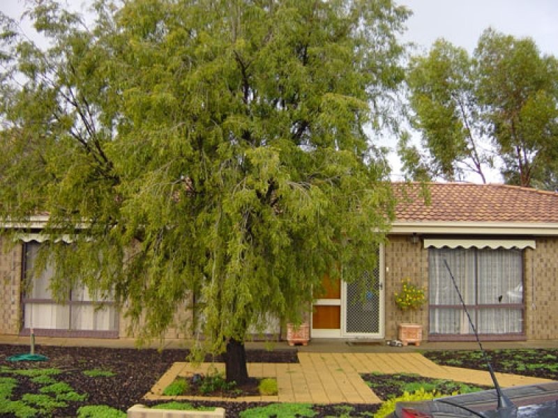 13 Jenkin Court, Mallala SA 5502