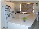16 Buttercup Grove, Blakeview SA 5114