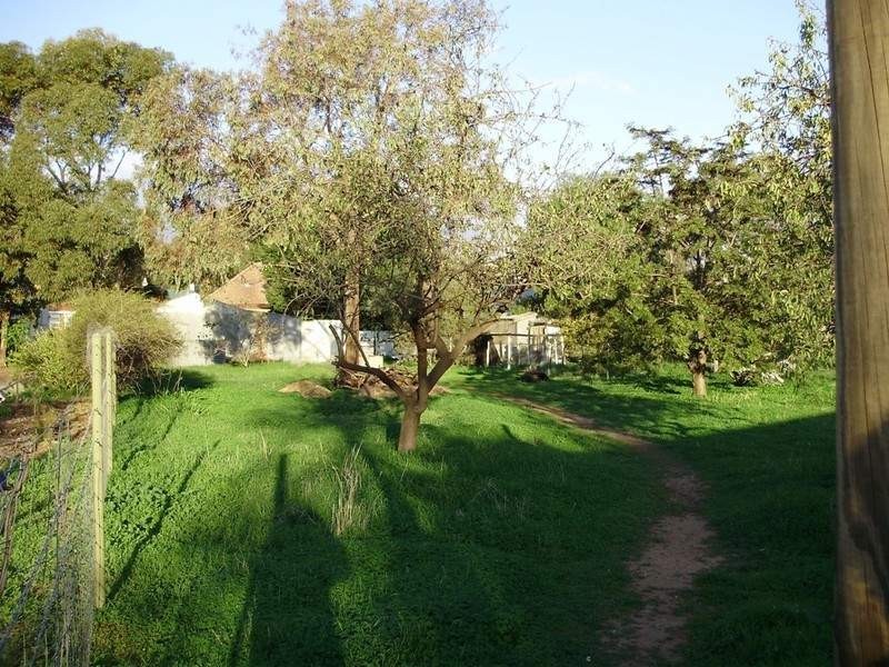 41 Second Street, Gawler South SA 5118