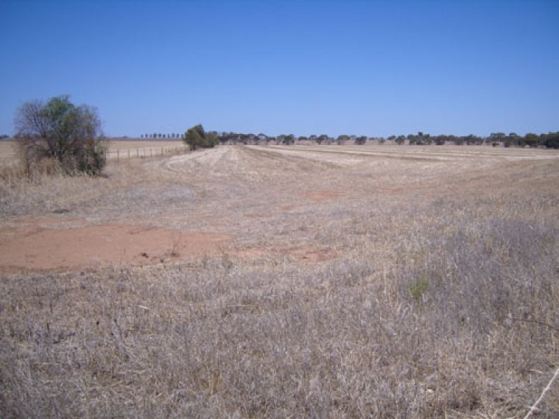 Lot 547 Government Road, Owen SA 5460