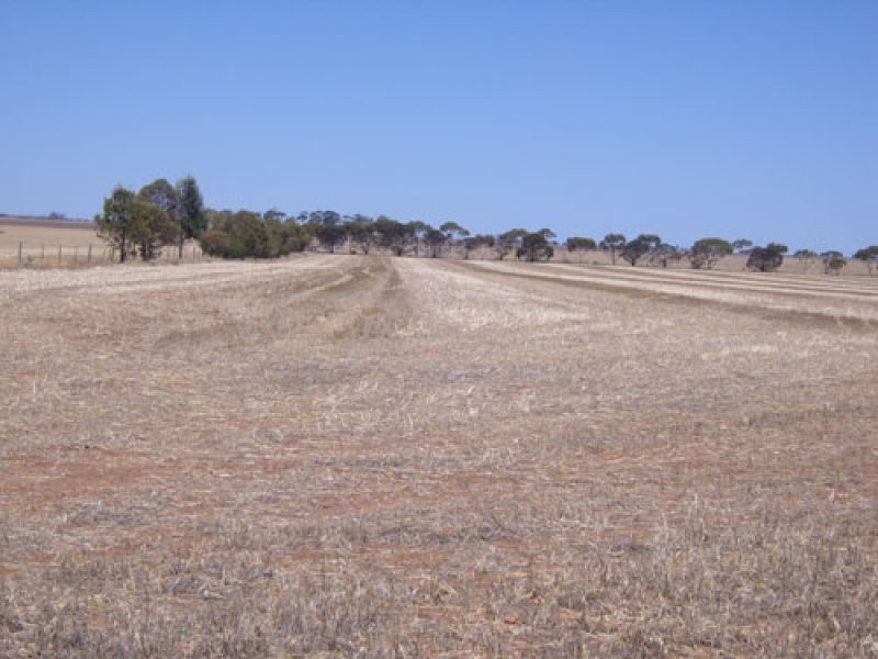 Lot 547 Government Road, Owen SA 5460