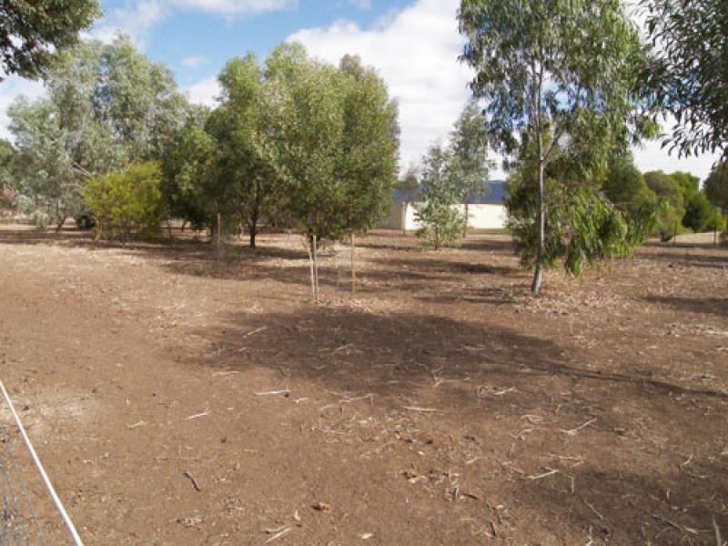 Lot 21 Warner Court, Sandy Creek SA 5350