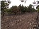 Lot 21 Warner Court, Sandy Creek SA 5350