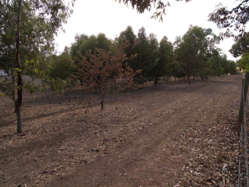 Lot 21 Warner Court, Sandy Creek SA 5350