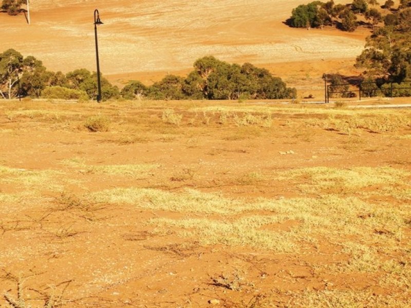 Lot 76 Mallard Place, Hewett SA 5118